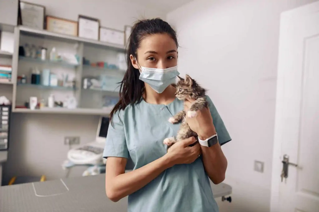 evcil-hayvan-sigortası